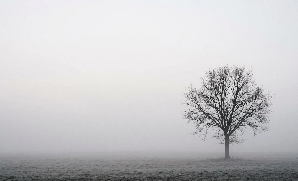 Solitude Minimal Foggy Tree Wallpaper wallpaper full preview