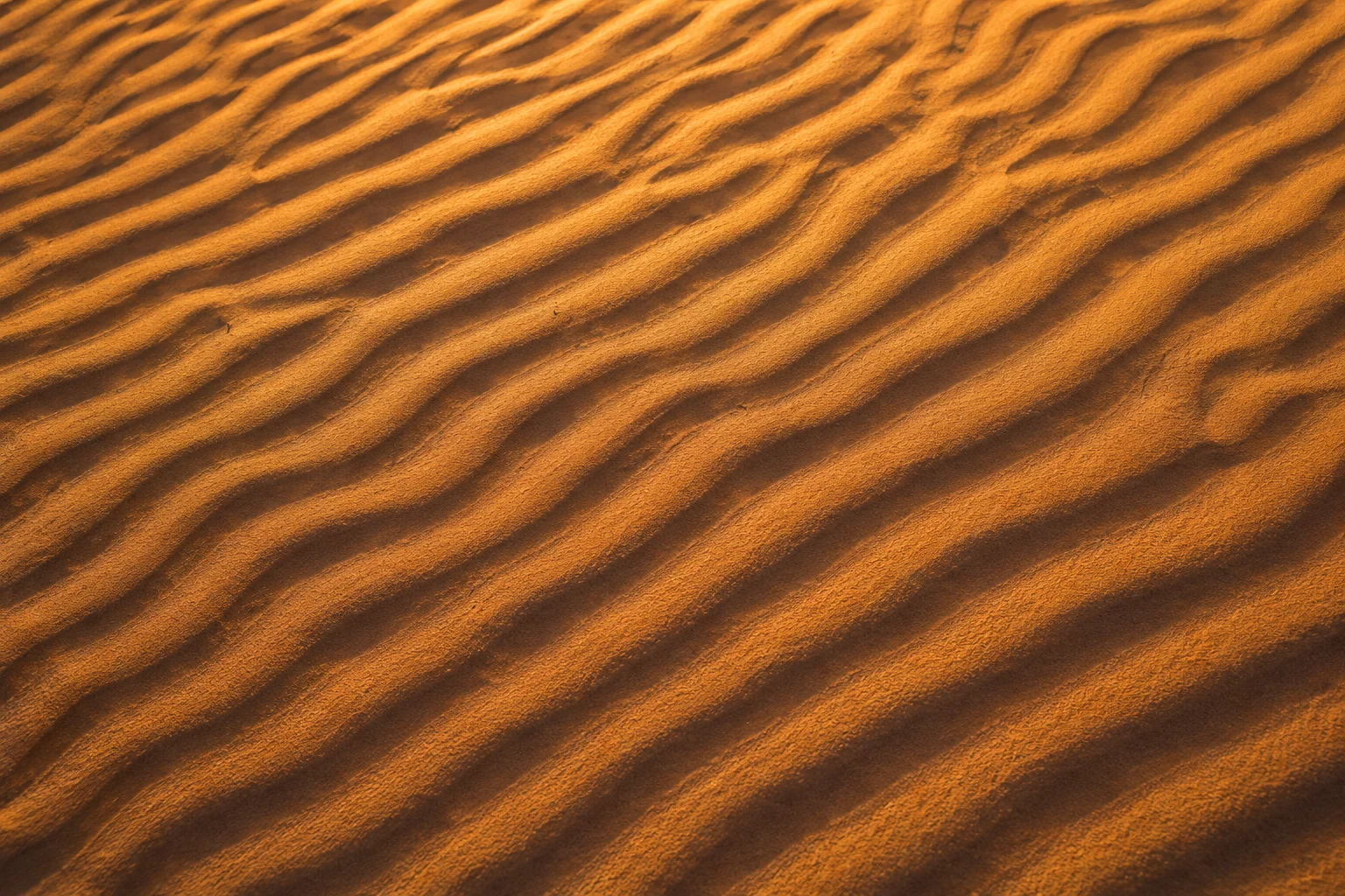 Wind Carved Abstract Sand Ripple Wallpaper wallpaper full preview
